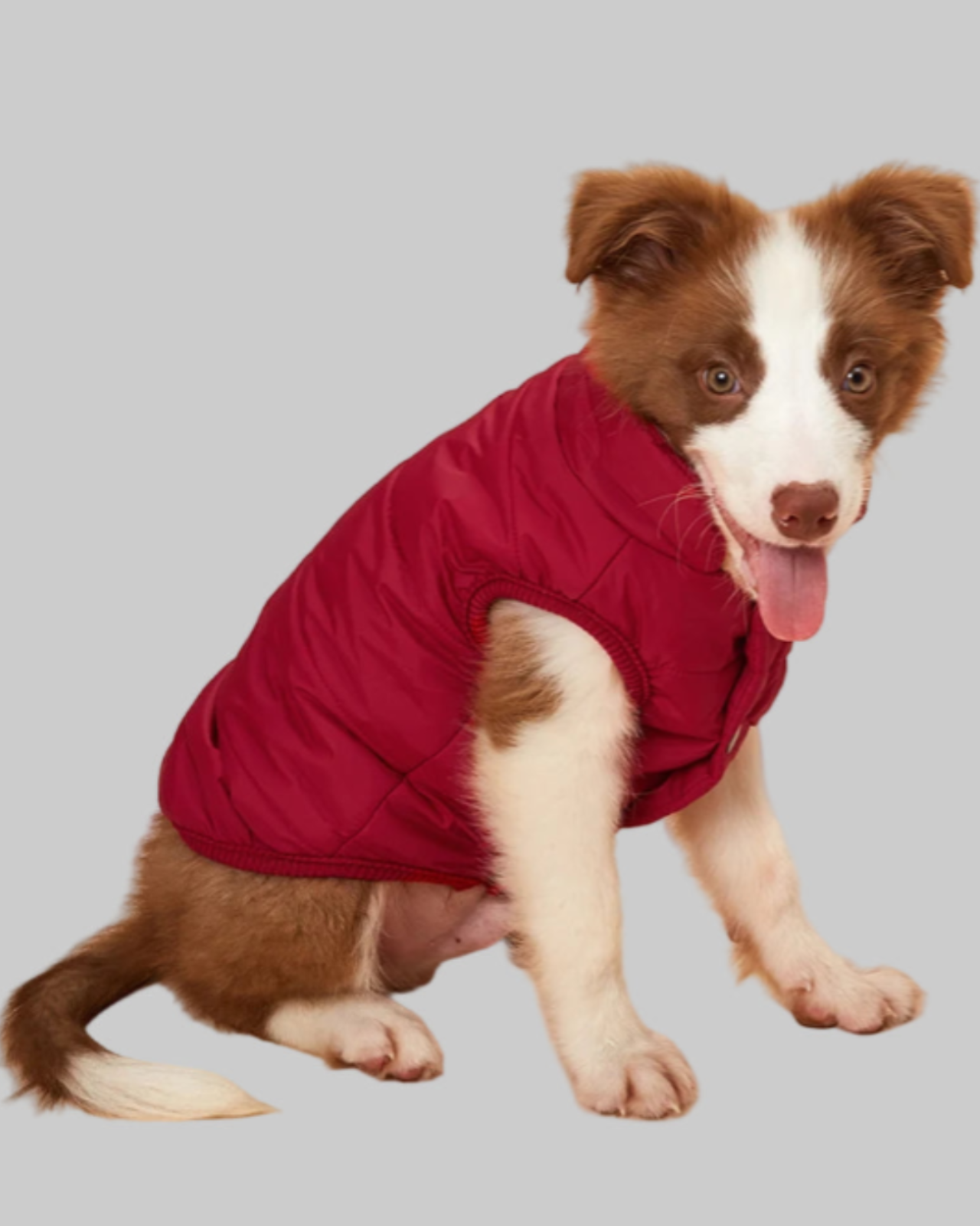 Dog Fleece Jacket