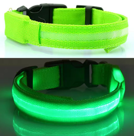 LED Light up Dog Collar