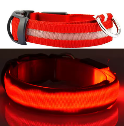 LED Light up Dog Collar