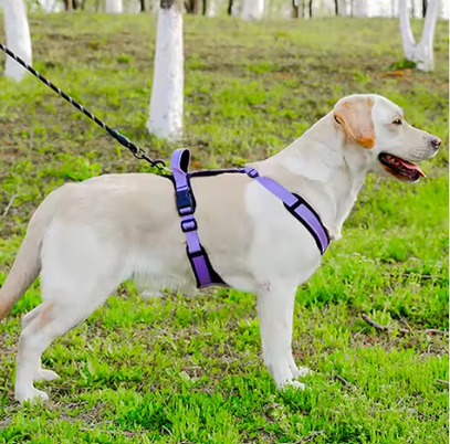 Reflective Dog Harness