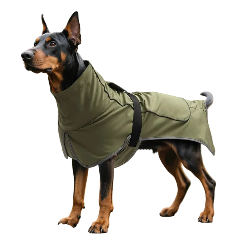 Stylish Dog Raincoat