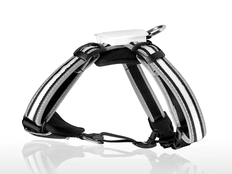 LED Light Up Dog Harness