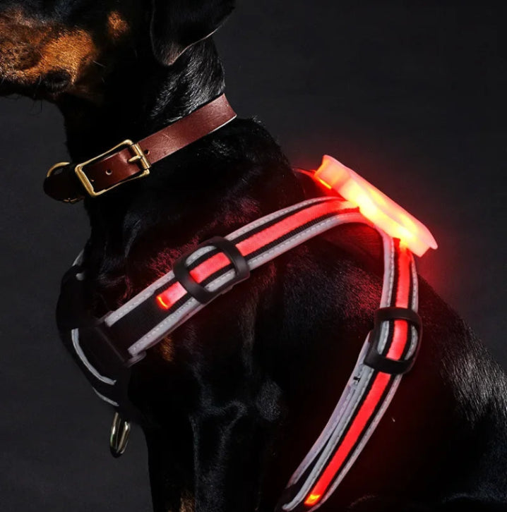 LED Light Up Dog Harness