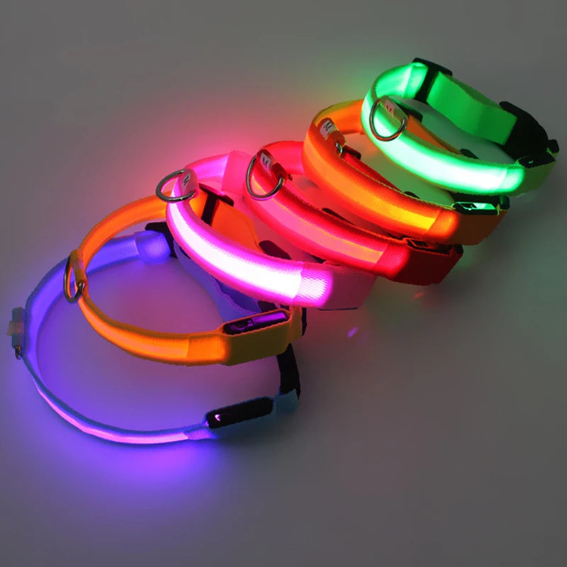 LED Light Up Dog Collar - 5 Colours Available