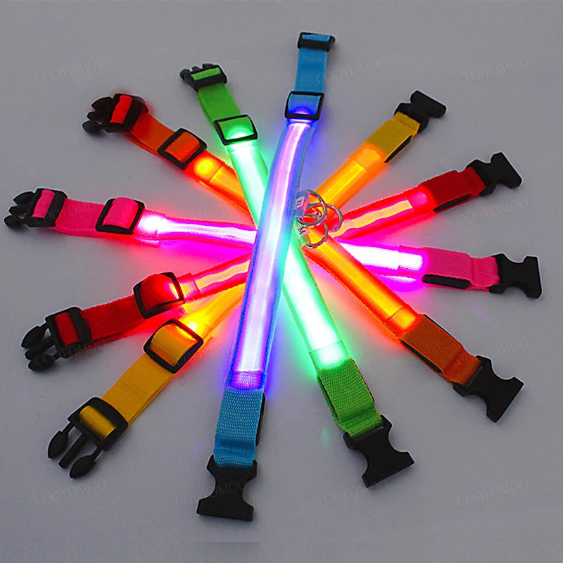 LED Light up Dog Collar - 5 Colours available