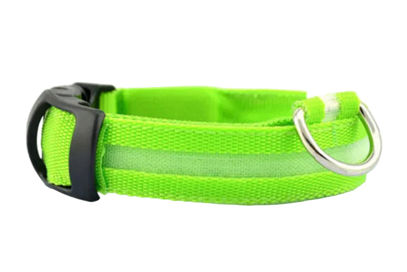LED Light up Dog Collar