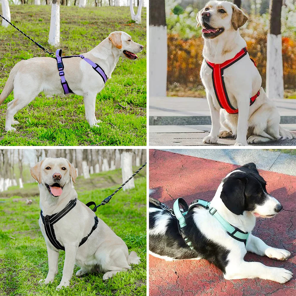 Reflective Dog Harness