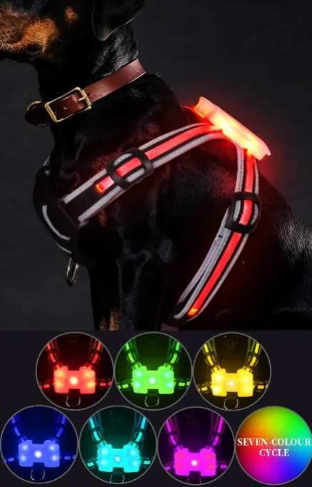 LED Light Up Dog Harness