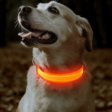 LED Light up Dog Collar
