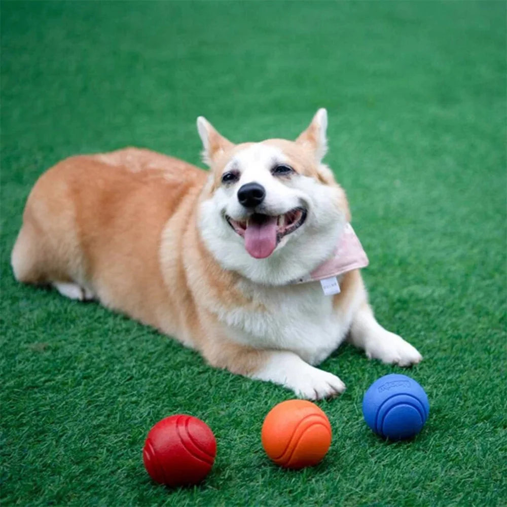 Bounce it Dog Ball