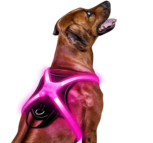 LED Light Up Dog Harness