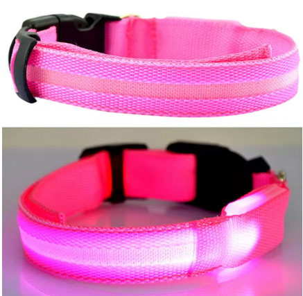 LED Light up Dog Collar