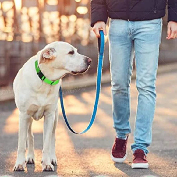 LED Light up Dog Collar