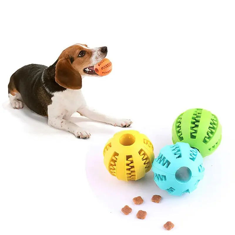 Dog Treat Toy Ball