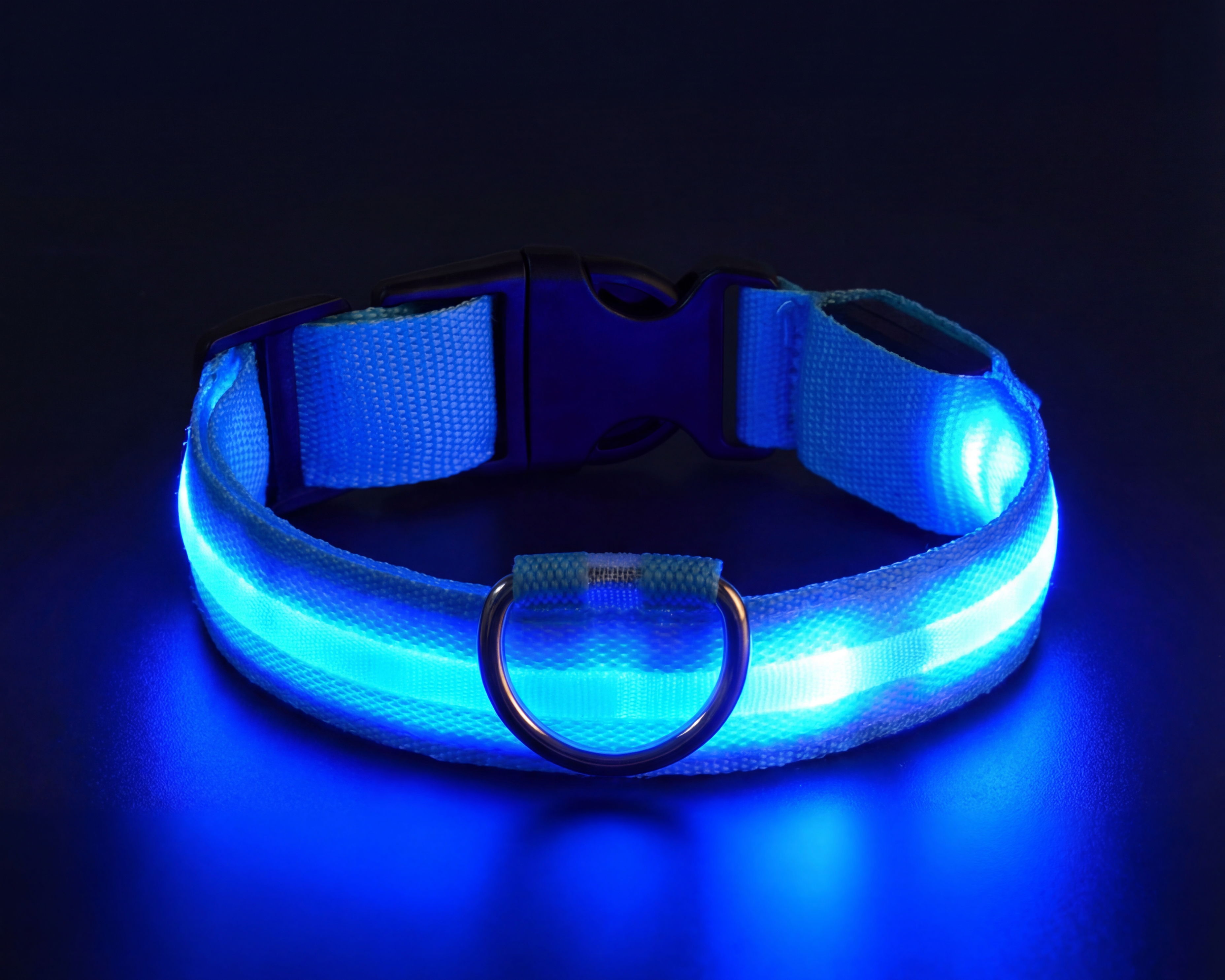 LED Light Up Dog Collar - 5 Colours Available