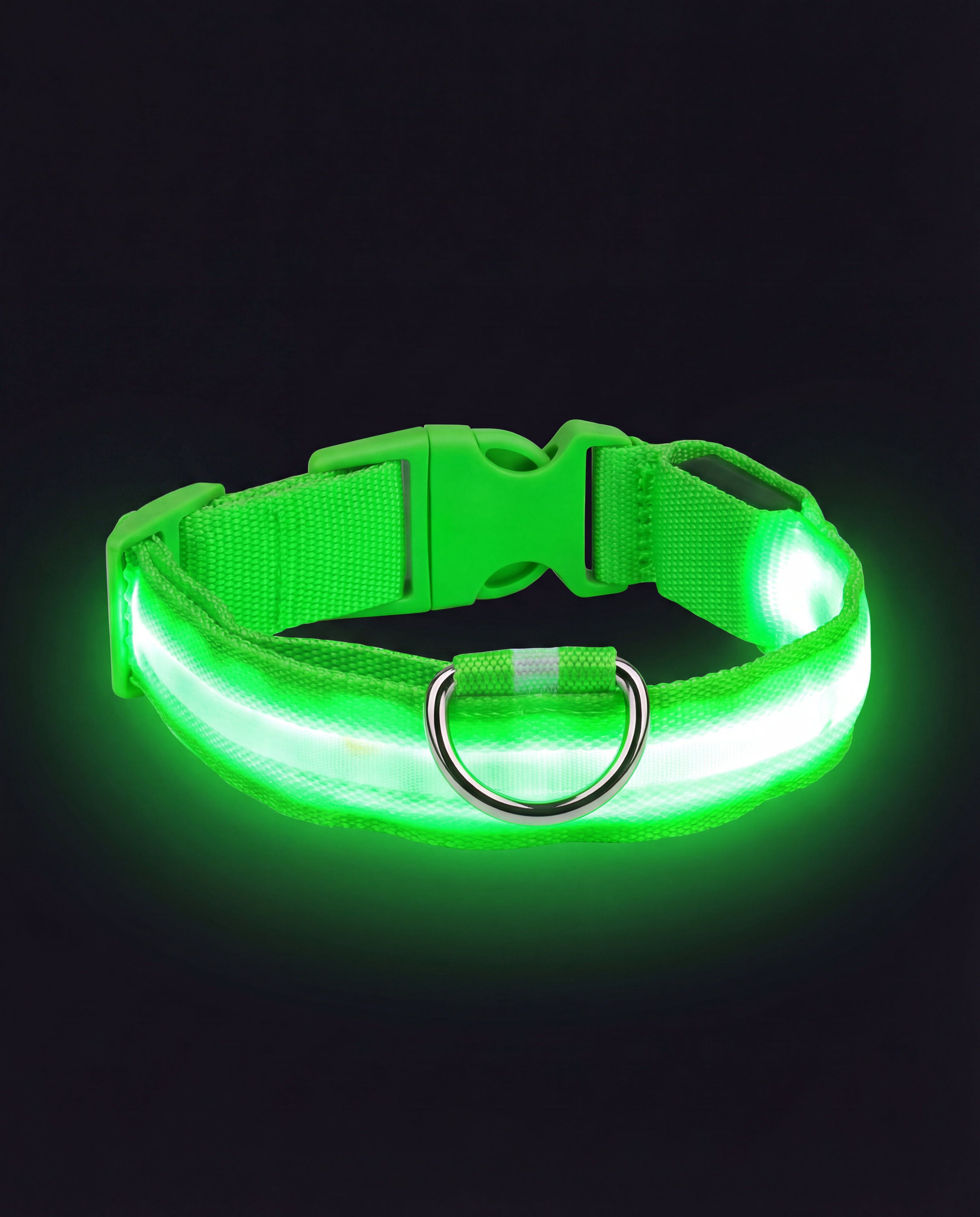 LED Light Up Dog Collar - 5 Colours Available